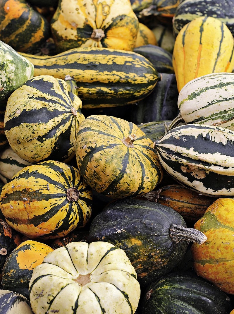 Sustainable Agriculture