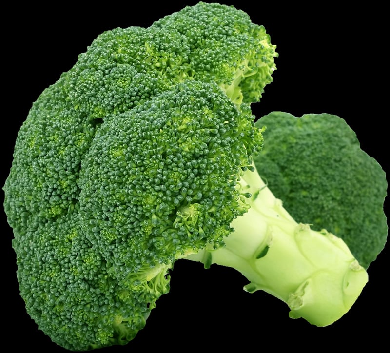 Plant-Based Cooking